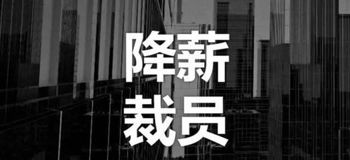 技術壁壘下的商業抉擇 一則關于堅守與轉型的商業案例剖析